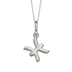 Silver Zodiac Necklace