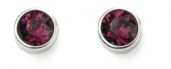 February Sterling Silver Birthstone Stud Earrings