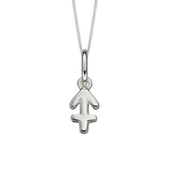 Silver Zodiac Necklace