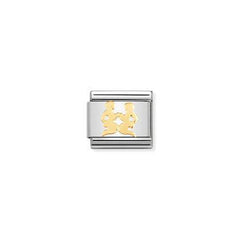 ZODIAC CHARM'S ALL IN BONDED YELLOW GOLD